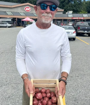 Potatoes Grown and Sold Locally, Sunshine Coast
