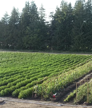 Farm Manager, Salish Sea Regenerative Farm Society, Sechelt BC