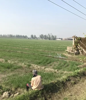 Irrigation System Study in India