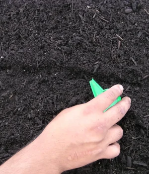 First Nations Food Project – Heart & Stroke Foundation